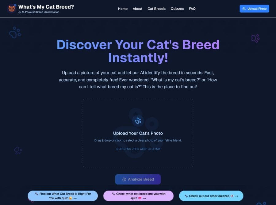 Whats My Cat Breed Ai
